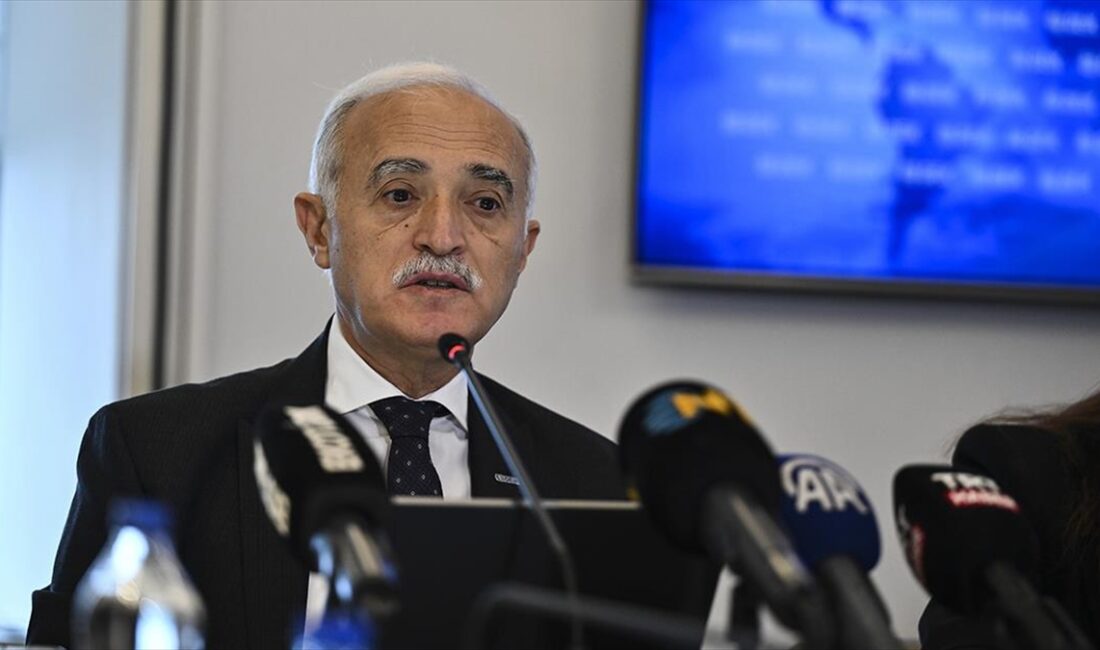 DEİK Başkanı Olpak, "Birleşik Arap Emirlikleri'nden gelecek olan yatırımların zamana