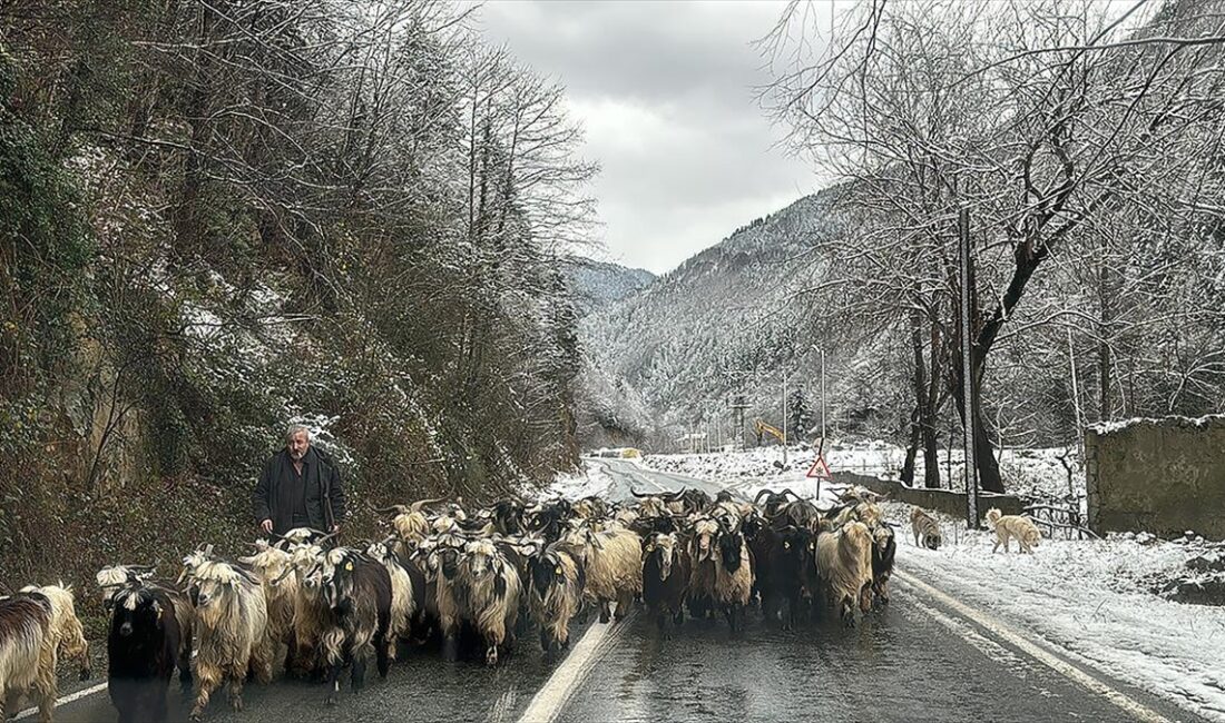 RIZE (AA) – Doğu Karadeniz’in y&uuml;ksek kesimlerinde hafta sonu aralıklı