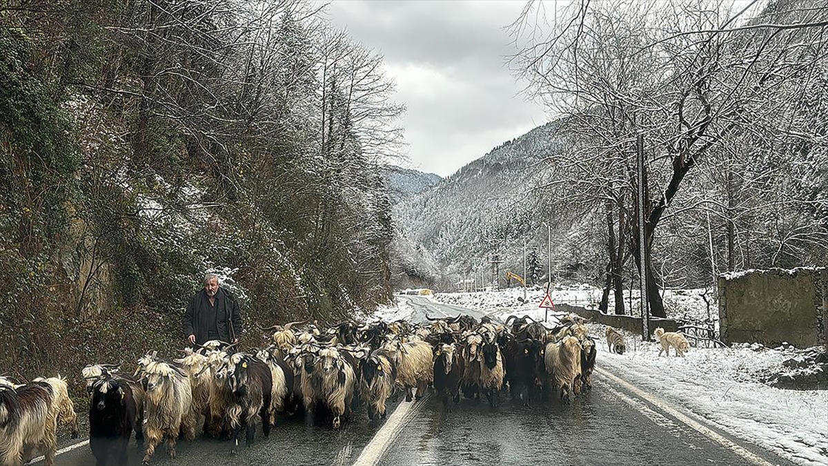 RIZE (AA) – Doğu Karadeniz’in y&uuml;ksek kesimlerinde hafta sonu aralıklı