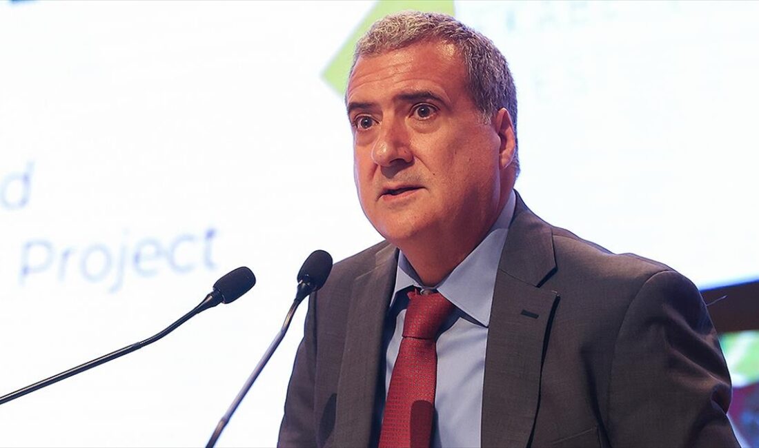 Dünya Bankası Türkiye Ülke Direktörü Humberto Lopez, Türkiye'de elektrik iletim