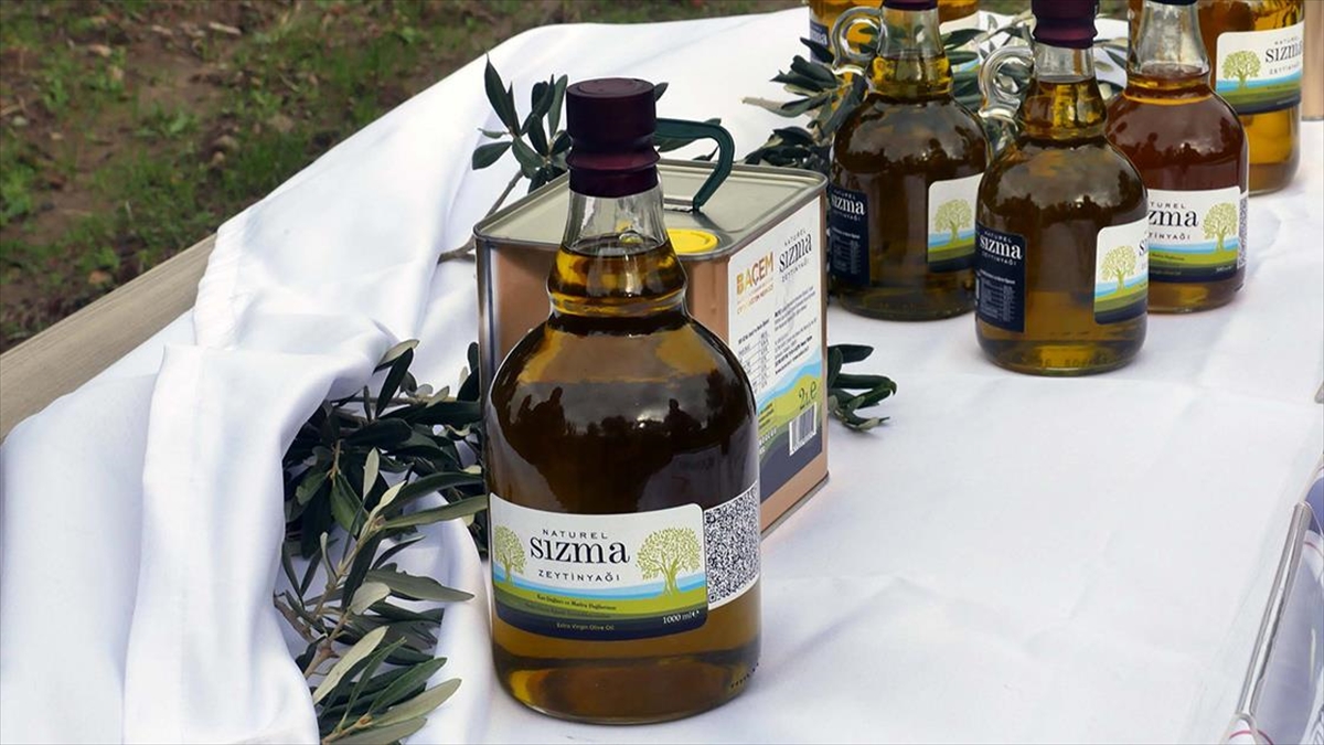 Türkiye'nin zeytin ve zeytinyağı üretiminde önde gelen bölgelerinden Edremit Körfezi'nde,