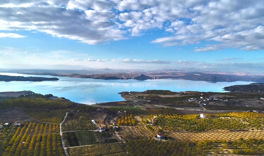 Türkiye'nin önemli kayısı üretim merkezlerinden Elazığ'da, 3 yılda 20 bini