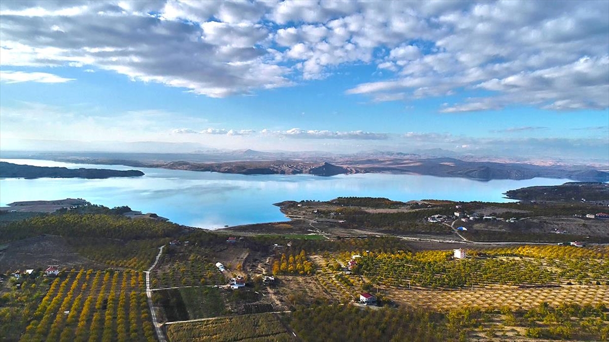 Türkiye'nin önemli kayısı üretim merkezlerinden Elazığ'da, 3 yılda 20 bini