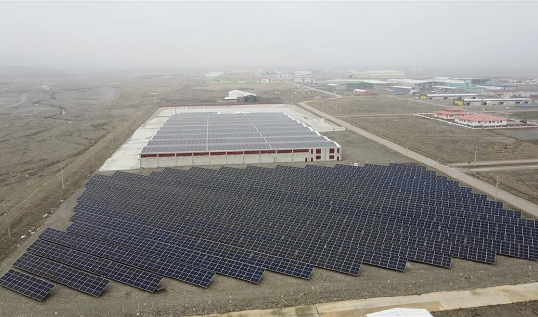 Erzincan'da enerjisini güneşten alan bir fabrikada atık orman ürünleri, biyokütle
