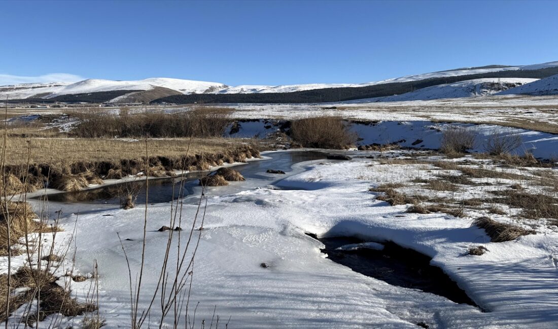 Erzurum, Ardahan ile Kars'ta soğuk hava ve buzlanma etkisini sürdürüyor.