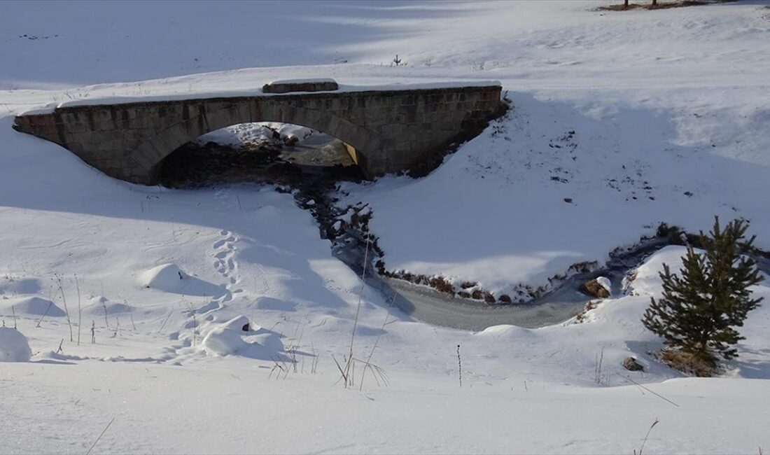 Erzurum, Kars ve Ardahan'da soğuk hava etkisini sürdürüyor ERZURUM (AA) – Gece hava sıcaklığının sıfırın altında 10 derece