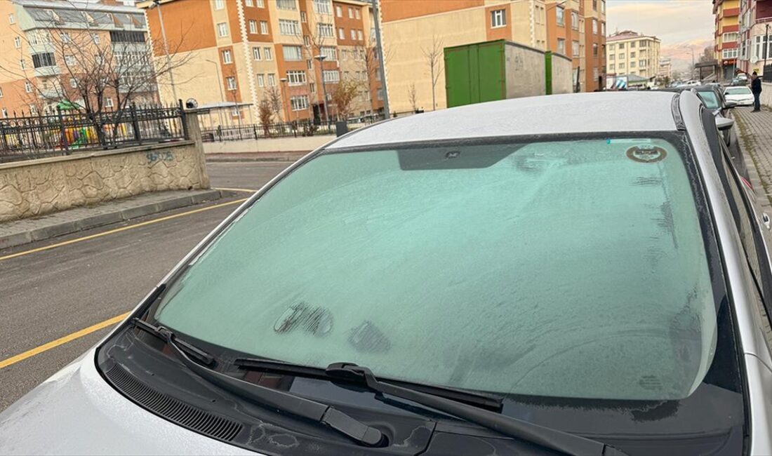Erzurum ve Kars'ta etkili olan soğuk hava hayatı olumsuz etkiledi.