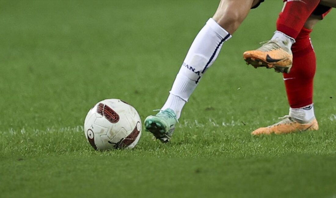 FIFA Üye Federasyonlar Avrupa Direktörü Elkhan Mammadov, futbolun gelişimine yatırım
