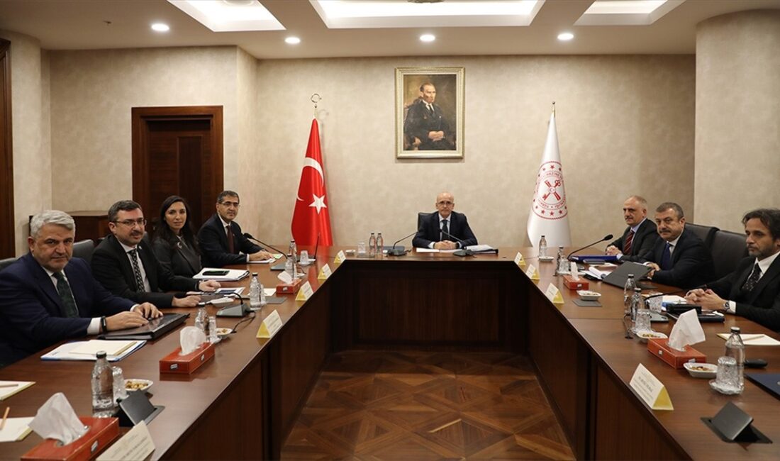 Finansal İstikrar Komitesi, Hazine ve Maliye Bakanı Mehmet Şimşek başkanlığında