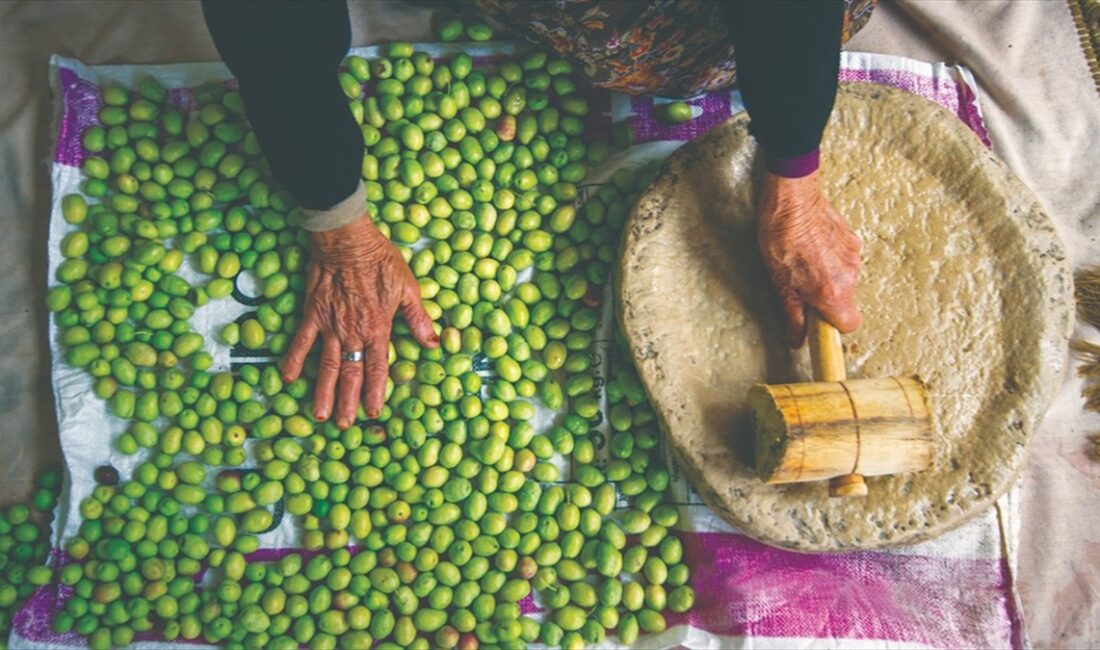 Kültür ve Turizm Bakanı Mehmet Nuri Ersoy, Türkiye'nin geleneksel zeytin