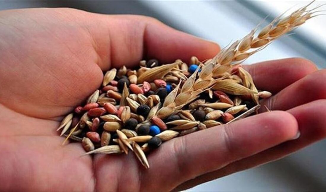 ANKARA (AA) – Güldal, AA muhabirine, Türkiye için tohumculuğun çok