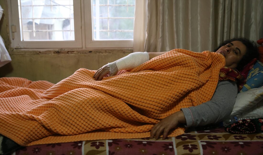 Hatay'da yasaklı ırk 3 köpeğin saldırısına uğrayan kadın yaralandı HATAY (AA) – Belen ilçesi Soğukoluk Mahallesi’nde yaşayan Selma Sönmez