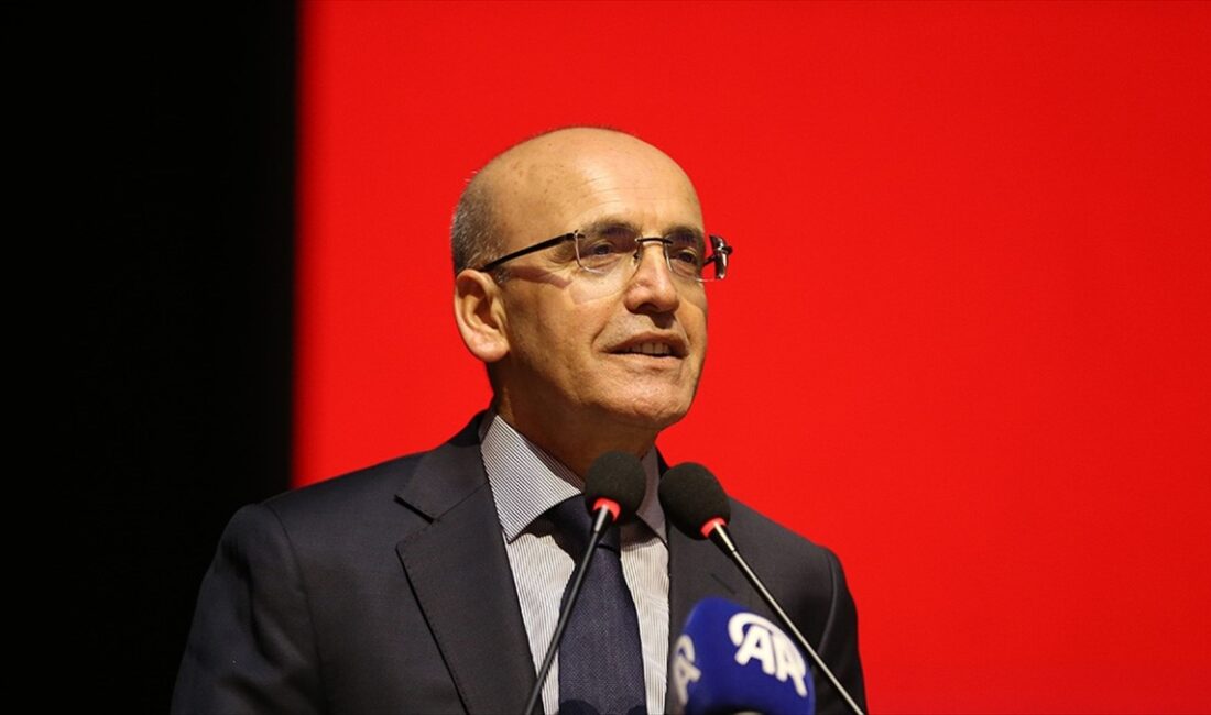 Hazine ve Maliye Bakanı Mehmet Şimşek, kasımda da devam eden