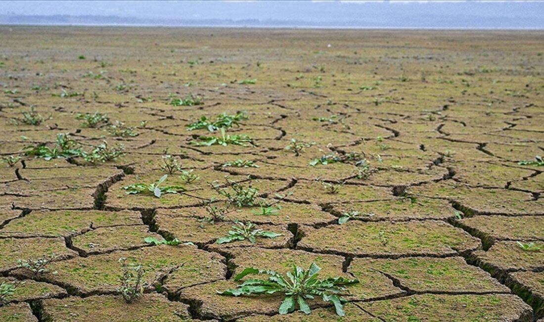 Dünya Doğal Hayatı Koruma Vakfı (WWF) finans yöneticisi Aaron Vermeulen,