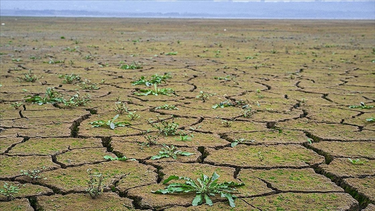 Dünya Doğal Hayatı Koruma Vakfı (WWF) finans yöneticisi Aaron Vermeulen,
