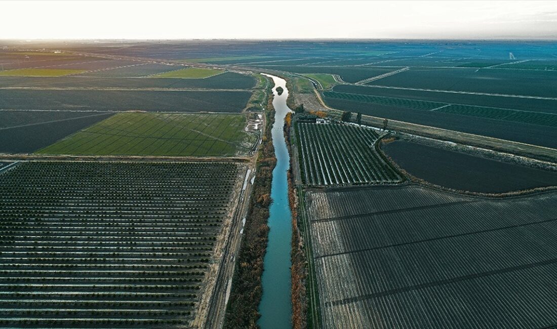 İklim krizi erozyonu artırarak toprakları yok ediyor TEMA Yönetim Kurulu Başkanı Ataç, Türkiye'nin yüzde 73,4'ünün çölleşme tehlikesi