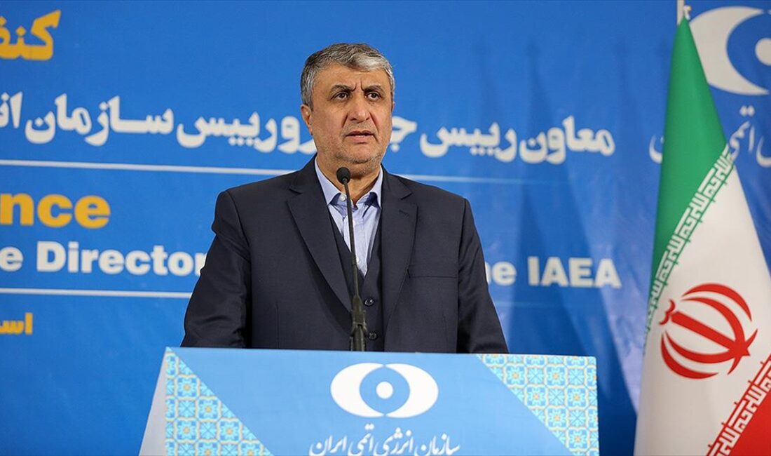 İran Atom Enerjisi Kurumu Başkanı Muhammed İslami, ABD'nin İran tarafından