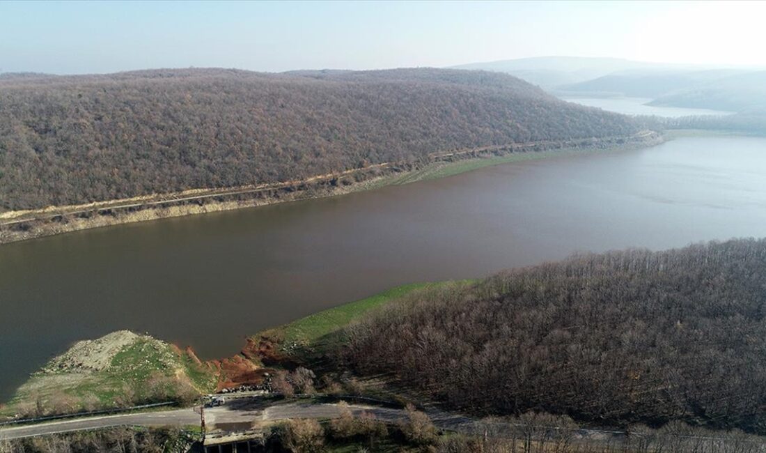 Yaz döneminde kuraklık ve aşırı sıcaklar nedeniyle kuruma noktasına gelen,