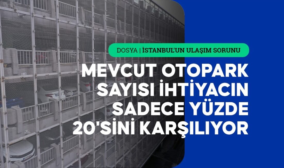 İstanbul genelinde hissedilen ve özellikle bazı semtlerde kangren haline dönüşmüş