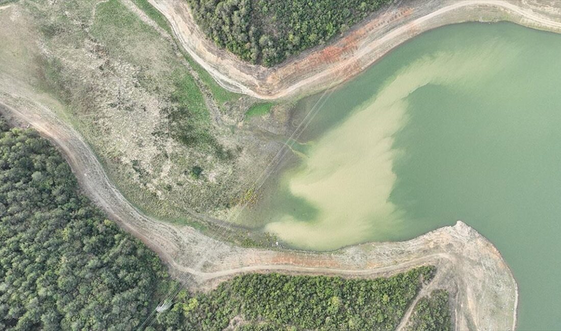 İstanbul'a su sağlayan barajlardaki doluluk oranı son yağmurların ardından yüzde