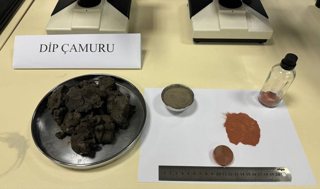 Kocaeli Üniversitesi (KOÜ) akademisyenleri tarafından İzmit Körfezi'nden çıkarılan dip çamurundan