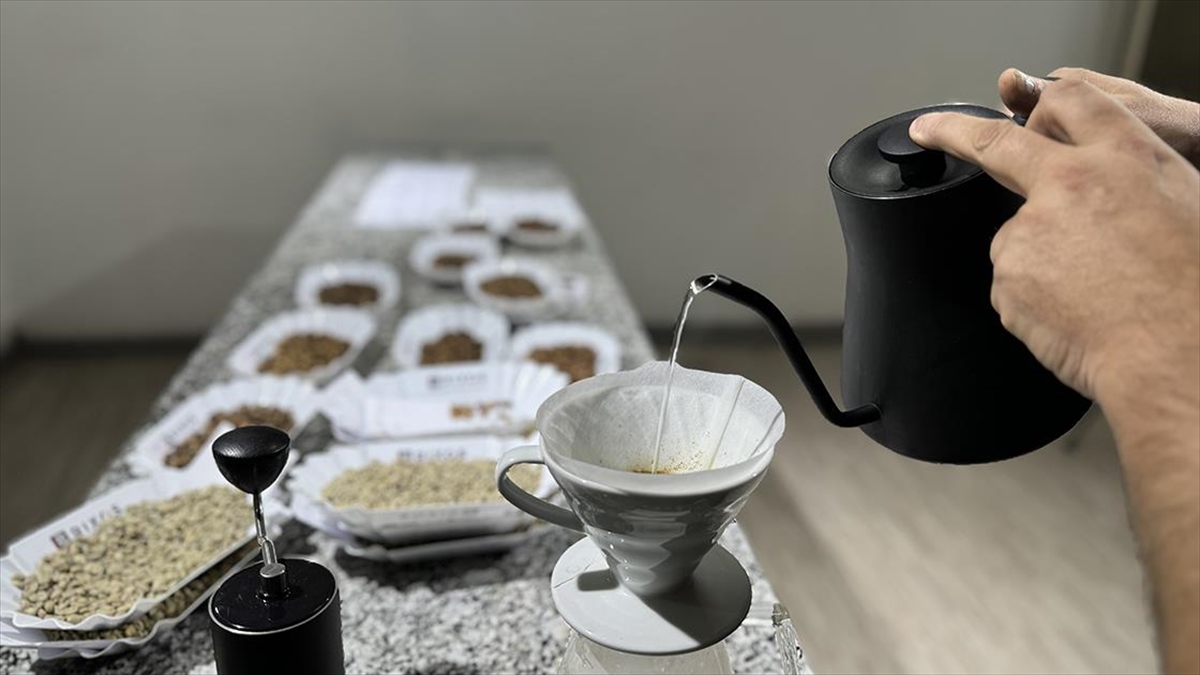 Doğu Afrika ülkesi Etiyopya'da yetişen kahve, aroması ve lezzetinden dolayı