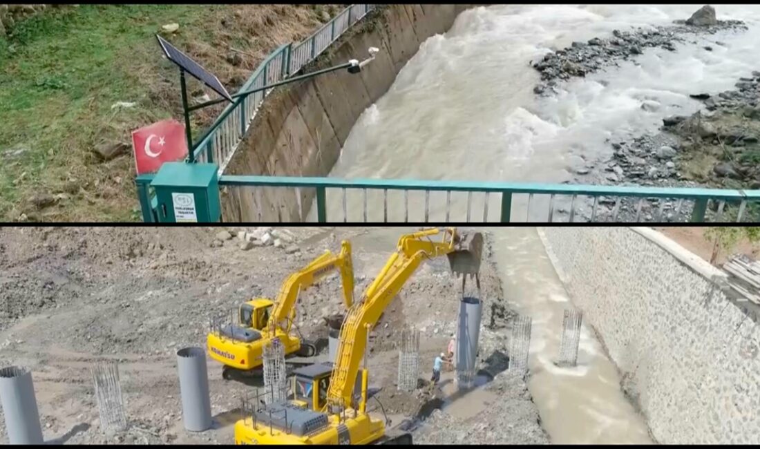 Devlet Su İşleri (DSİ) Genel Müdürü Mehmet Akif Balta, taşkınların