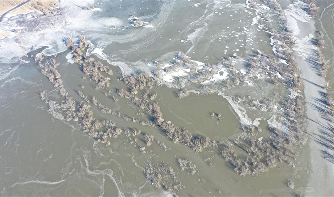Kars Barajı'nın yüzeyi kısmen dondu Dondurucu soğukların etkisiyle Kars Barajı'nın yüzeyi kısmen buzla kaplandı.