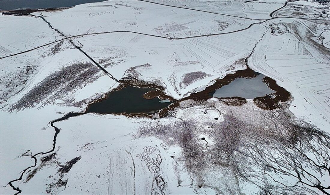 Kars'ın Arpaçay ilçesinde etkili olan soğuk hava nedeniyle Lavaş Gölü'nün