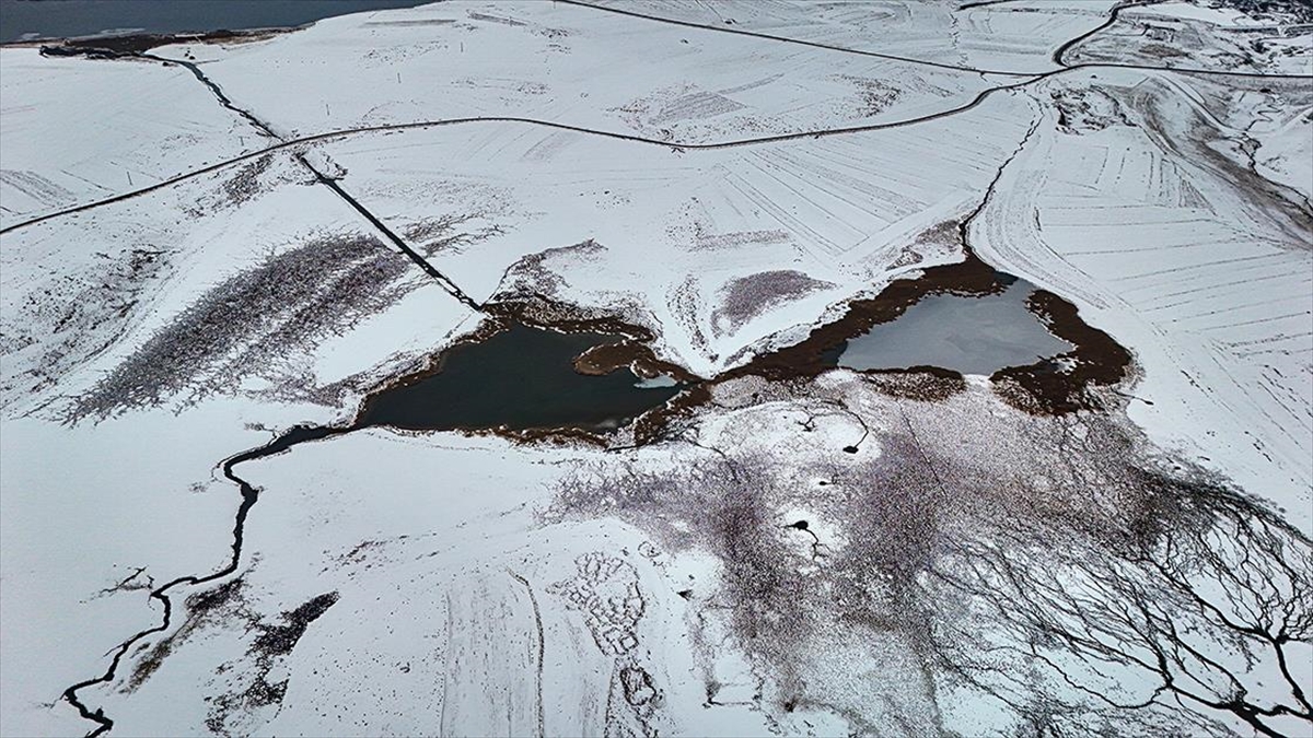 Kars'ın Arpaçay ilçesinde etkili olan soğuk hava nedeniyle Lavaş Gölü'nün