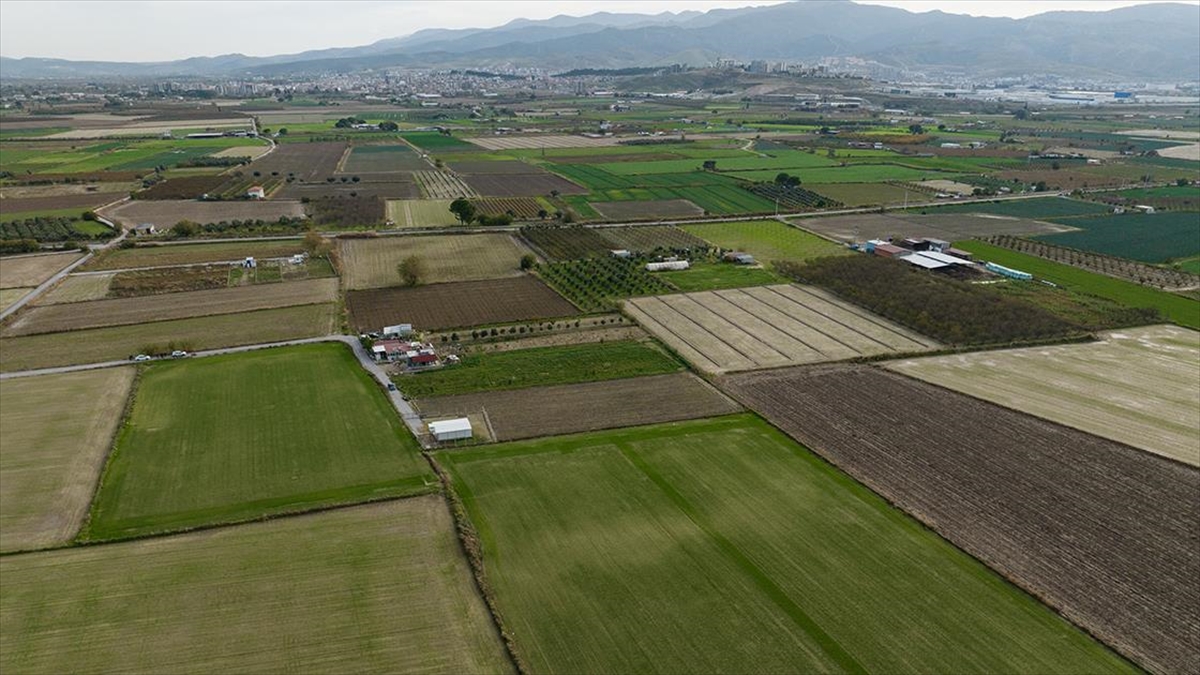 Verimli tarım alanlarında onlarca çeşit ürünün yetiştiği İzmir, Manisa ve