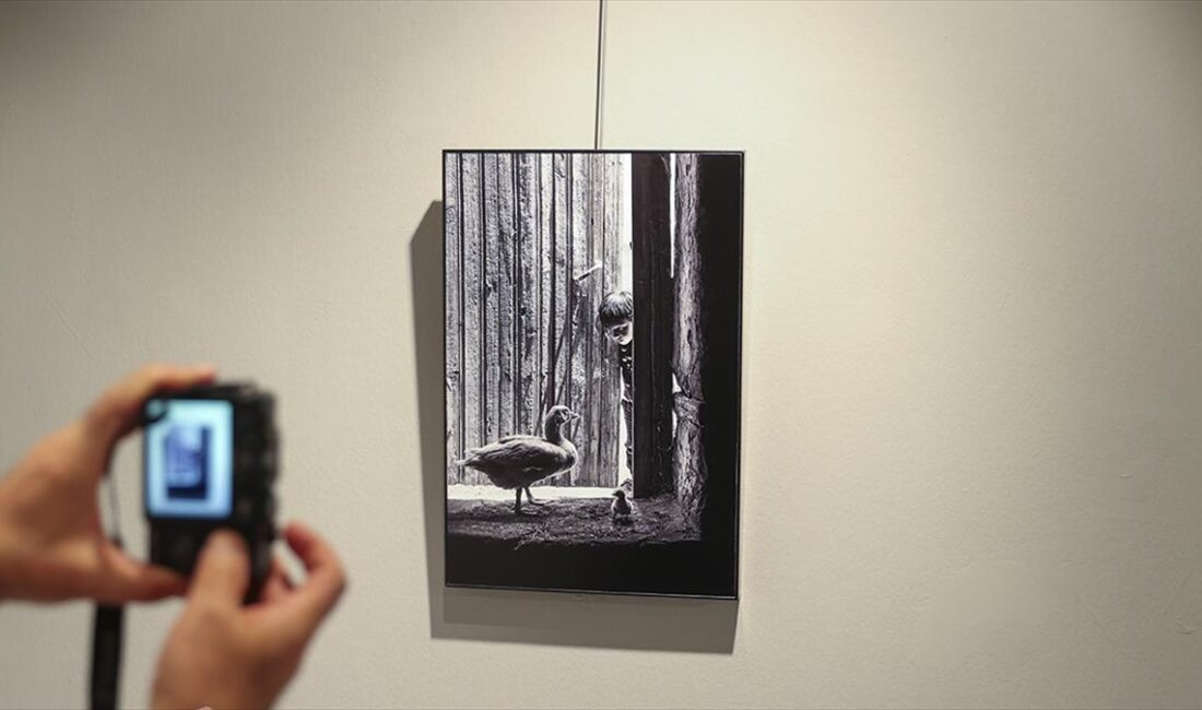 Fotoğraf sanatçısı Kadir Ekinci'nin doğum yeri olan Kars'ta çektiği siyah
