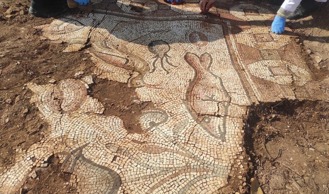 Mardin'in Kızıltepe ilçesinde, kurtarma kazısı yapılan alanda Roma dönemine ait