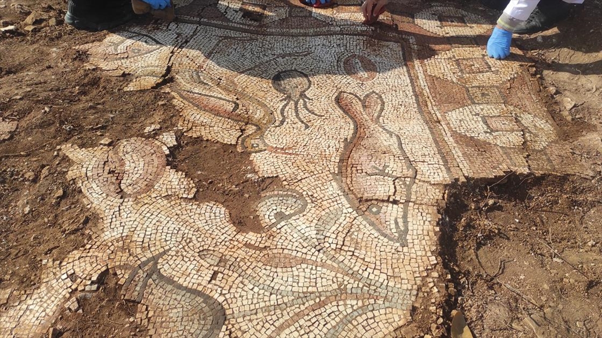 Mardin'in Kızıltepe ilçesinde, kurtarma kazısı yapılan alanda Roma dönemine ait