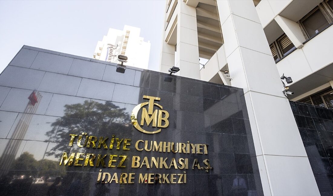 Türkiye Cumhuriyet Merkez Bankası (TCMB) Para Politikası Kurulu (PPK), politika