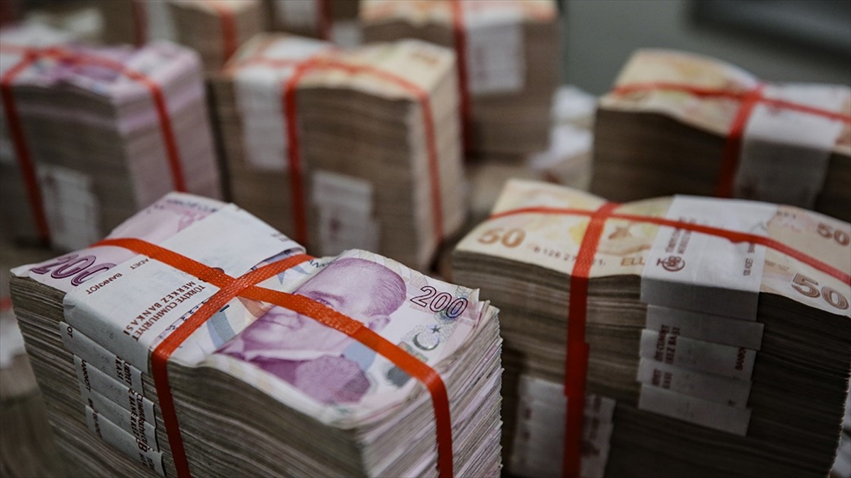 Türkiye Cumhuriyet Merkez Bankası (TCMB), kullanılan sterilizasyon araçlarının çeşitliliğini artırmak