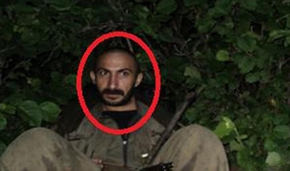 Milli İstihbarat Teşkilatı (MİT), terör örgütü PKK/YPG'nin sözde sorumlularından Şirvan