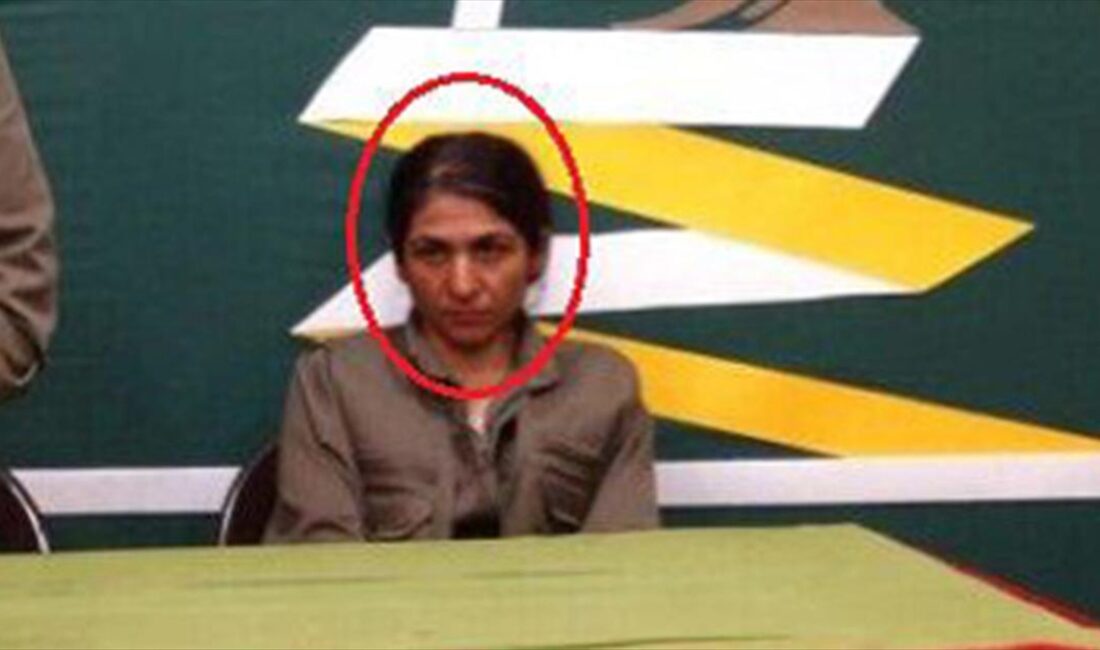 Milli İstihbarat Teşkilatı (MİT), terör örgütü PKK/KCK-HPJ'nin sözde yöneticilerinden "Aryen