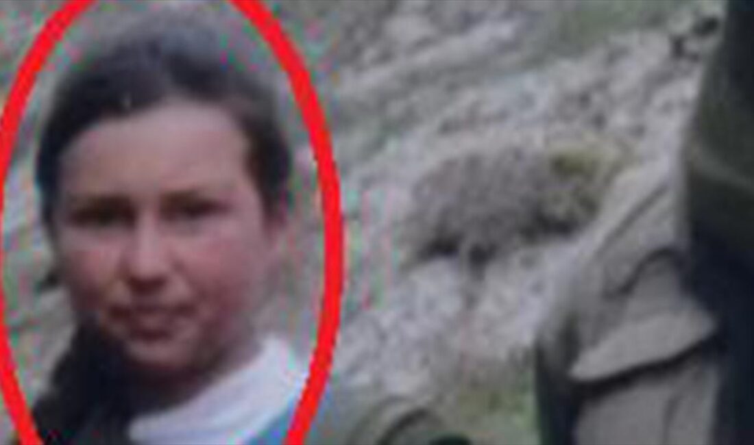 Milli İstihbarat Teşkilatı (MİT), terör örgütü PKK/YPG'nin para trafiğini yürüten