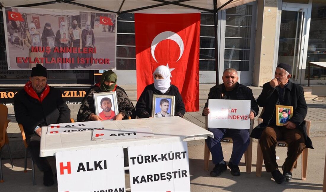 Muş'ta çocuklarının, terör örgütü PKK tarafından dağa götürülmesinden HDP'yi sorumlu