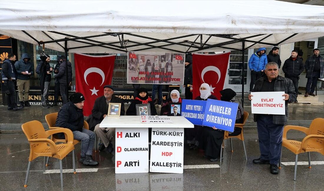 Muş'ta çocuklarının, terör örgütü PKK tarafından dağa kaçırılmasından HDP'yi sorumlu