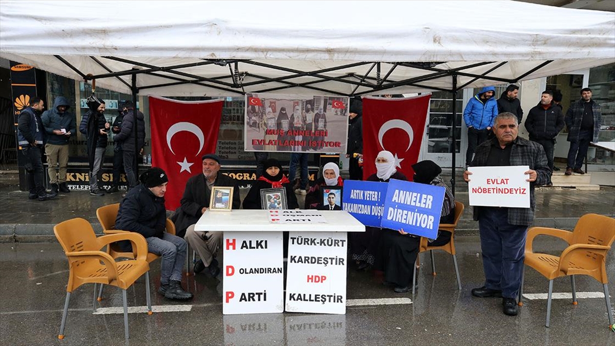Muş'ta çocuklarının, terör örgütü PKK tarafından dağa kaçırılmasından HDP'yi sorumlu