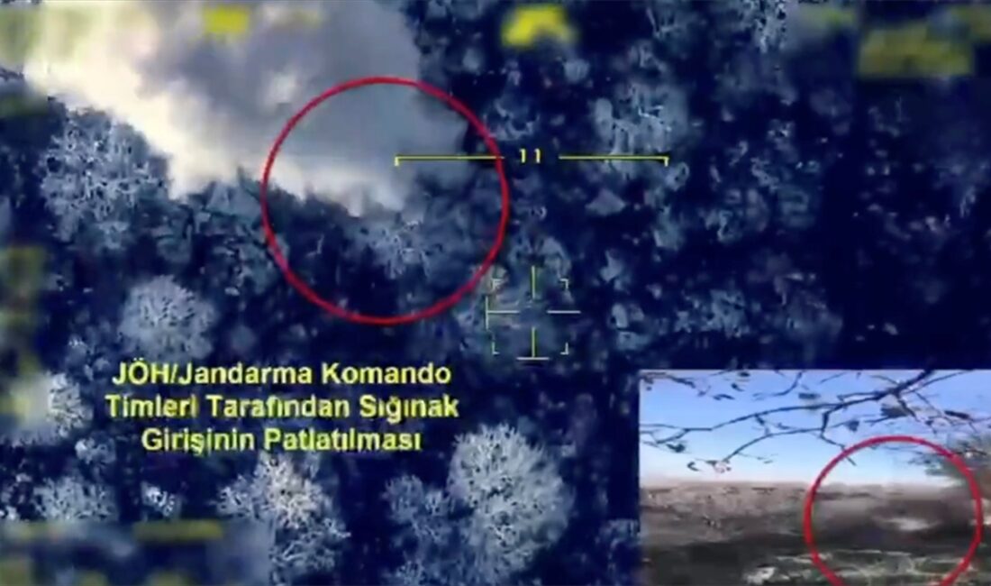 İçişleri Bakanı Ali Yerlikaya, Mardin'in Nusaybin ilçesi kırsalında düzenlenen "Kahramanlar-39"