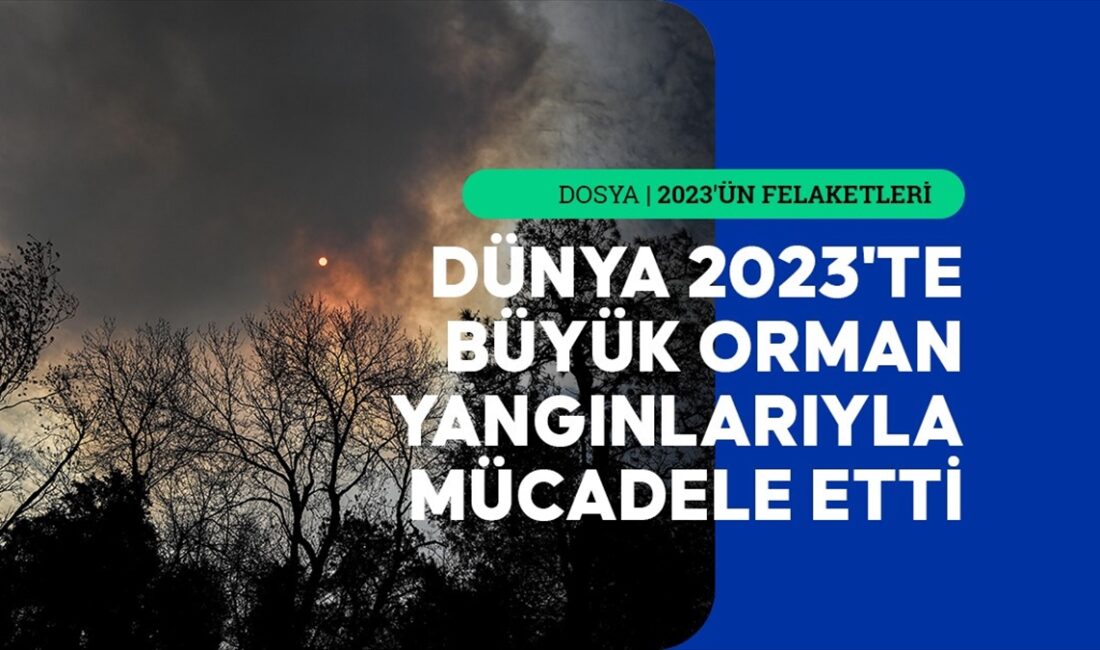Dünya genelinde 2023'te orman yangınları, yüzlerce kişinin ölümüne ve yaralanmasına
