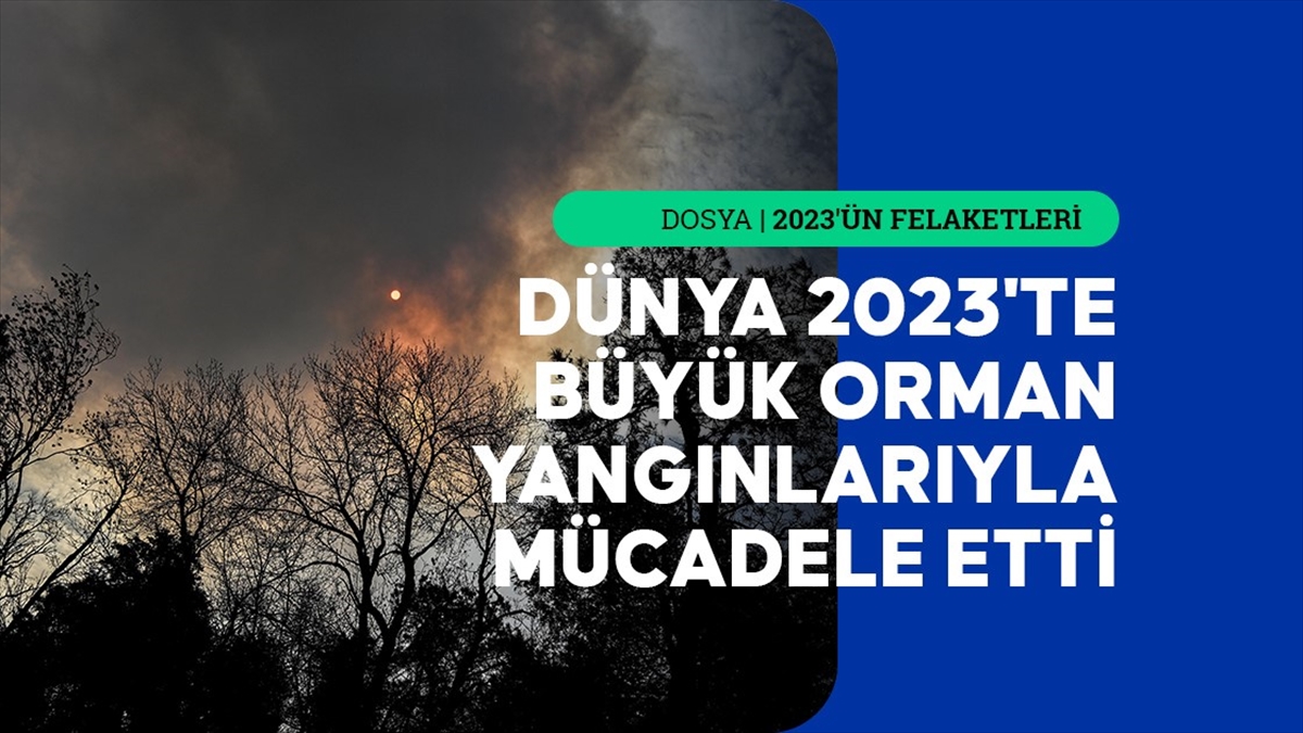 Dünya genelinde 2023'te orman yangınları, yüzlerce kişinin ölümüne ve yaralanmasına