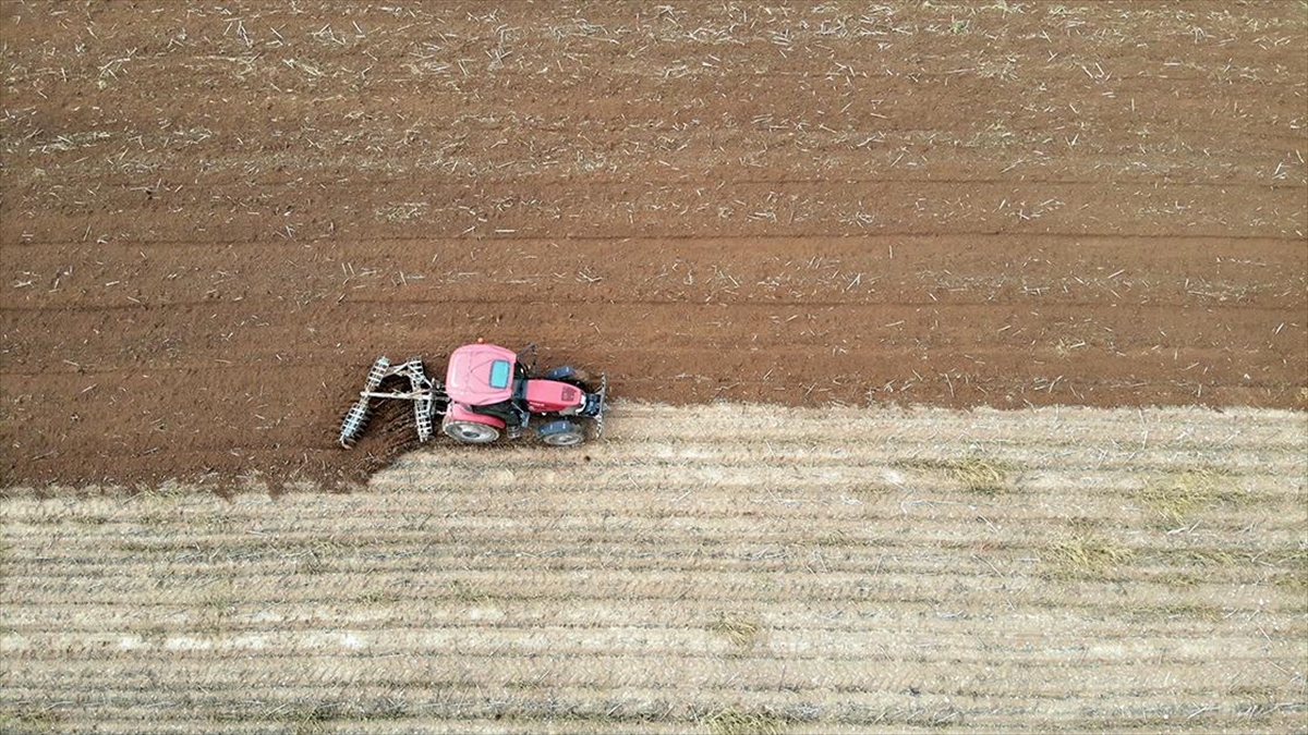 Aşırı sıcaklık ve kuraklıkla mücadele eden Edirne, Kırklareli ve Tekirdağ'da