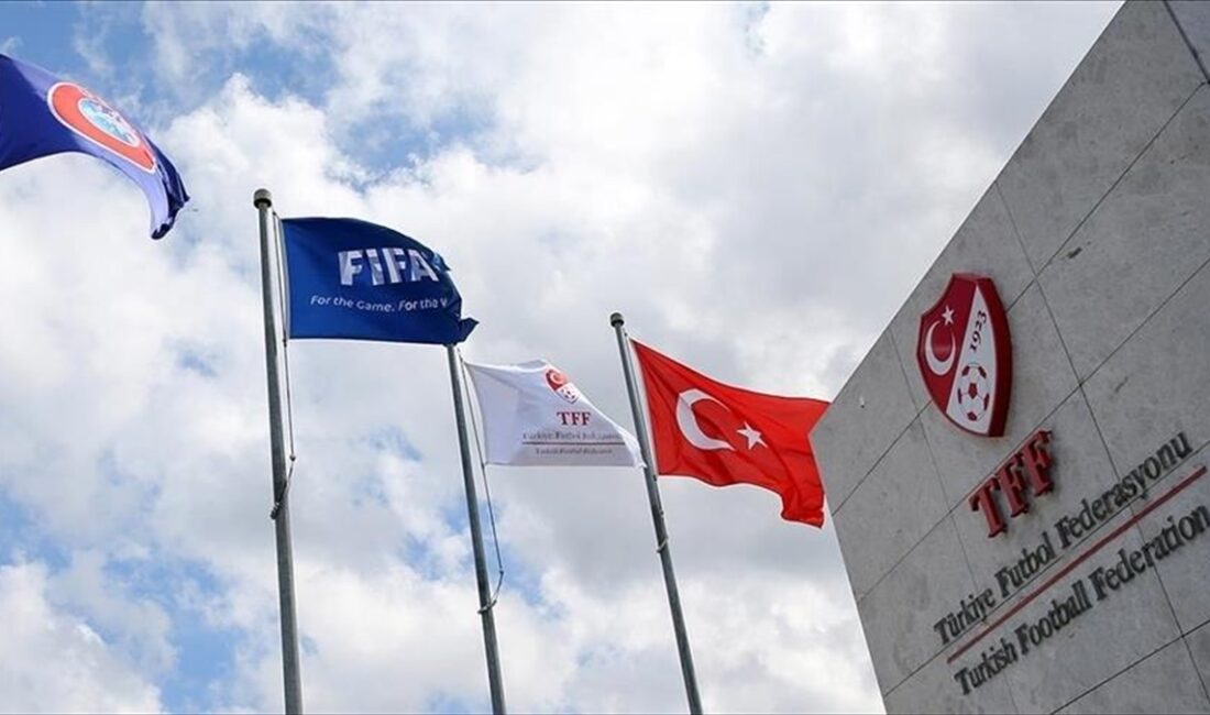 Türkiye Futbol Federasyonu (TFF) Profesyonel Futbol Disiplin Kurulu (PFDK), Trendyol