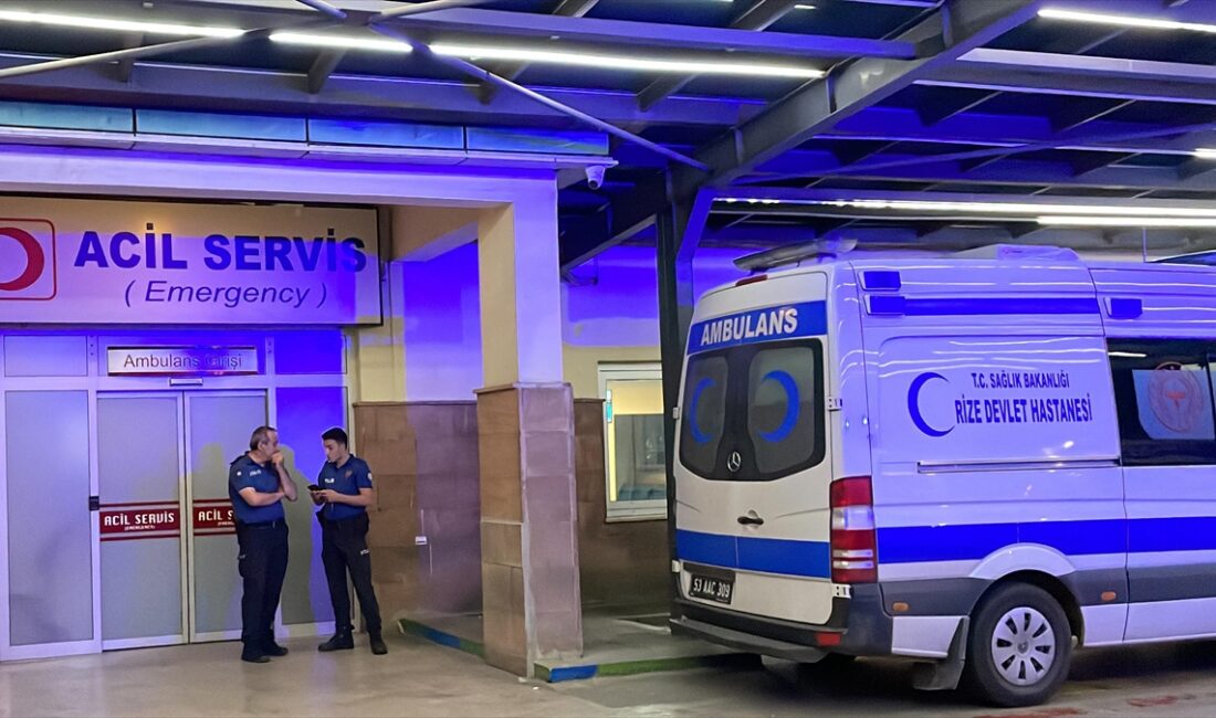 Rize'de sahipsiz köpeklerin saldırdığı 70 yaşındaki kadın yaralandı RIZE (AA) – Alınan bilgiye göre, Atatürk Caddesi’nde yürüyen Hatice