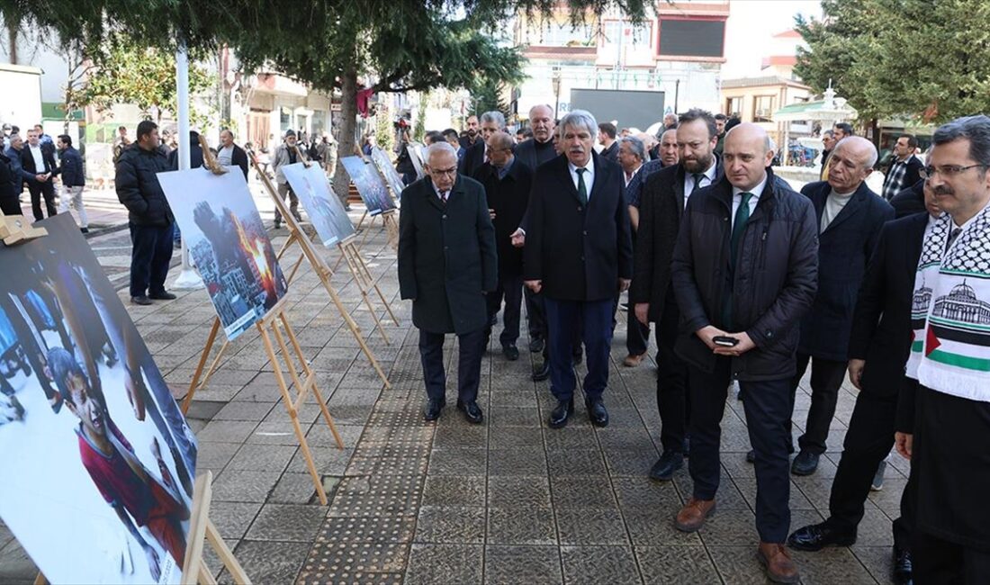 Sakarya'da Kocaali Kaymakamlığı ve Belediyenin işbirliğiyle Anadolu Ajansı (AA) muhabirlerinin