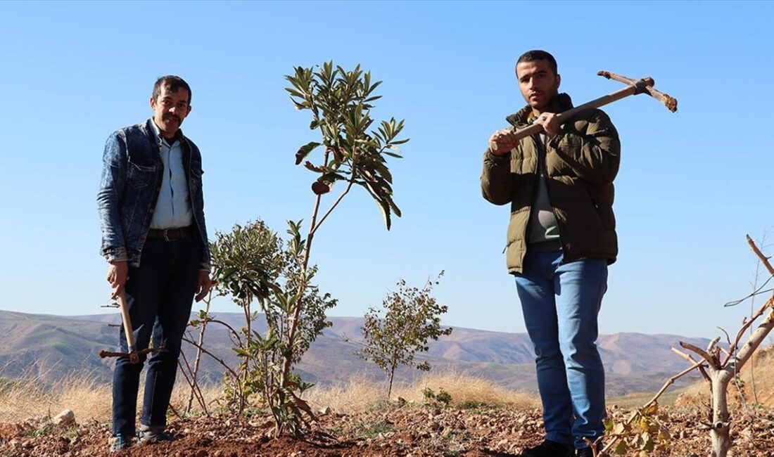 Siirt'te oluşturulan hobi bahçesi, özel bireylerin tarımla uğraşarak rehabilite olmalarına